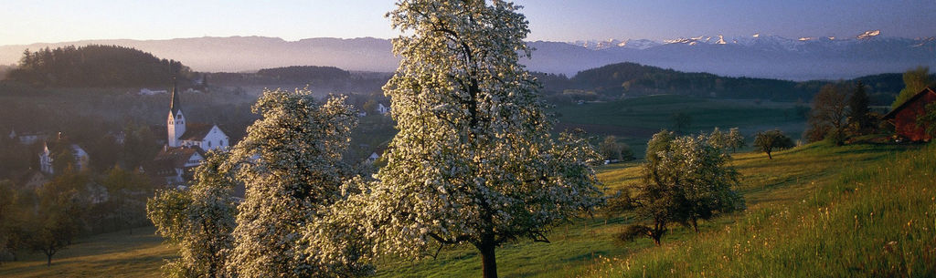 GKWG Lindau (B) Obereitnau Luftaufnahme von Obereitnau