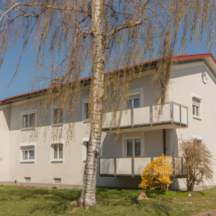 Ein Wohnhaus mit einer Birke