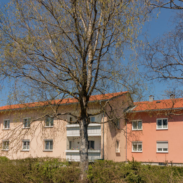 Ein Mehrfamilienhaus neben Bäumen