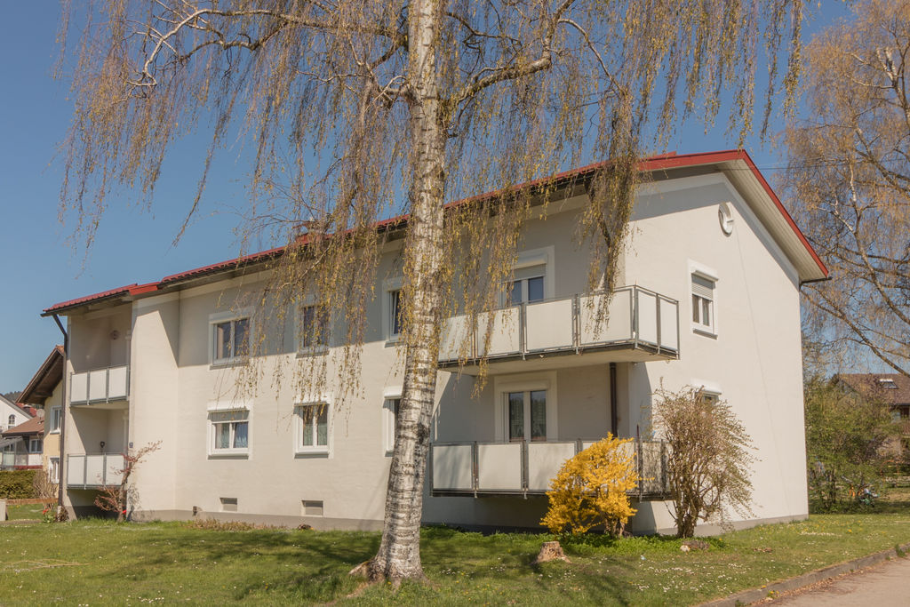 Ein Wohnhaus mit einer Birke
